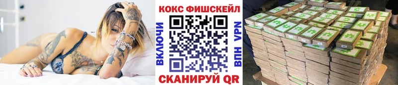 Как найти наркотики Верея Галлюциногенные грибы  СК  ГАШ  COCAIN  Канабис 
