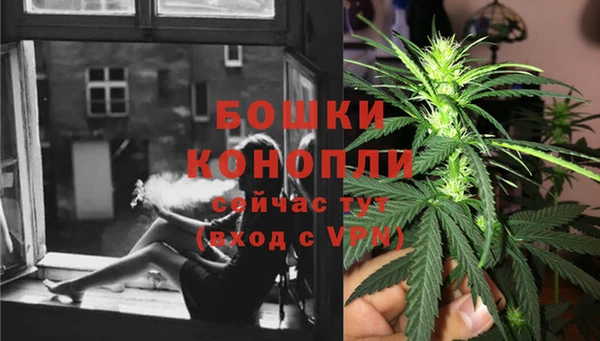 прущие крисы Беломорск