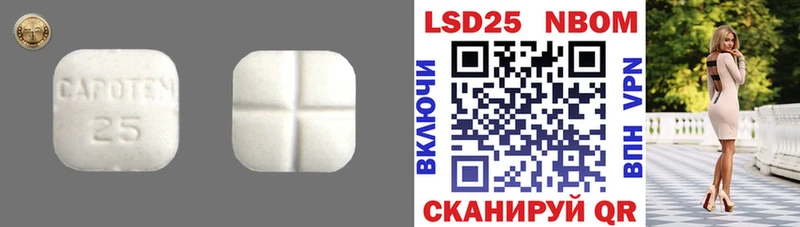 OMG вход  Верея  LSD-25 экстази ecstasy 