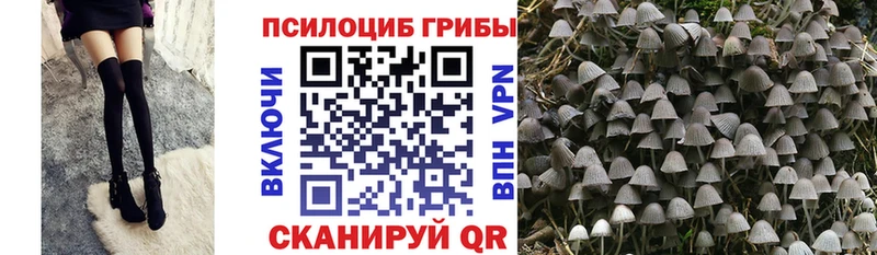закладки OMG зеркало Галлюциногенные грибы прущие грибы Верея